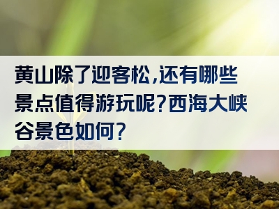 黄山除了迎客松，还有哪些景点值得游玩呢？西海大峡谷景色如何？