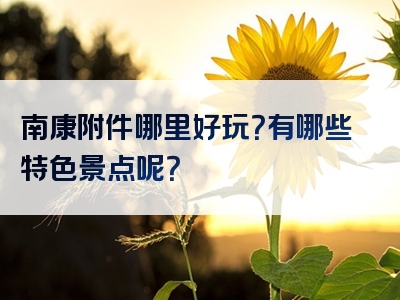 南康附件哪里好玩？有哪些特色景点呢？