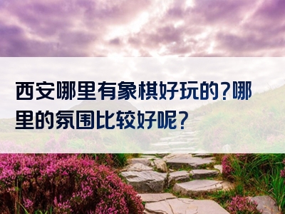 西安哪里有象棋好玩的？哪里的氛围比较好呢？