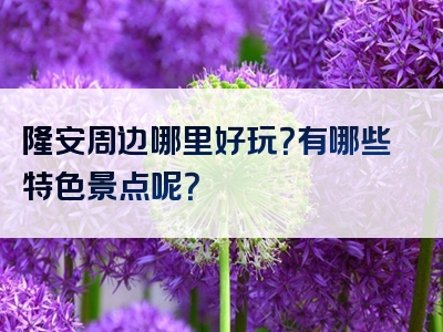 隆安周边哪里好玩?有哪些特色景点呢?