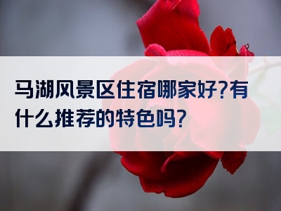 马湖风景区住宿哪家好？有什么推荐的特色吗？