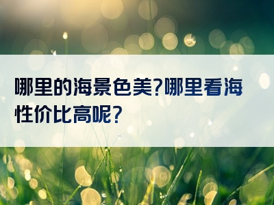 哪里的海景色美？哪里看海性价比高呢？