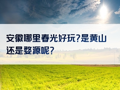 安徽哪里春光好玩？是黄山还是婺源呢？