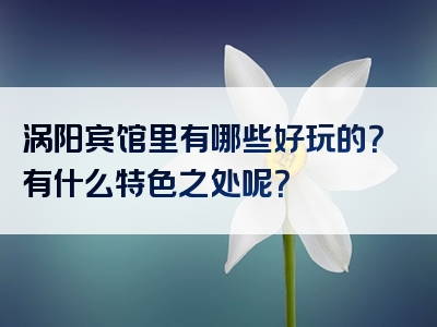 涡阳宾馆里有哪些好玩的？有什么特色之处呢？