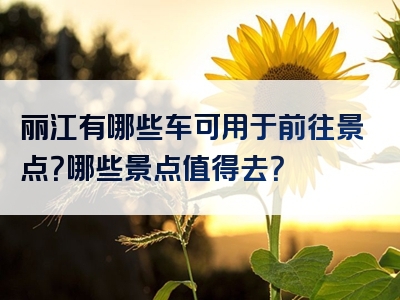 丽江有哪些车可用于前往景点？哪些景点值得去？