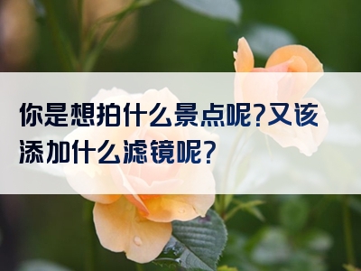 你是想拍什么景点呢？又该添加什么滤镜呢？