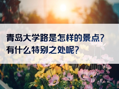 青岛大学路是怎样的景点？有什么特别之处呢？