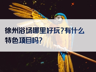 徐州浴场哪里好玩？有什么特色项目吗？
