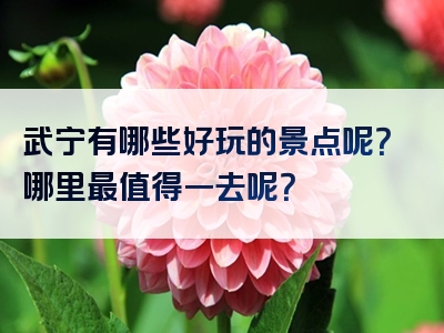 武宁有哪些好玩的景点呢？哪里最值得一去呢？
