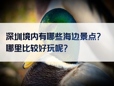 深圳境内有哪些海边景点？哪里比较好玩呢？