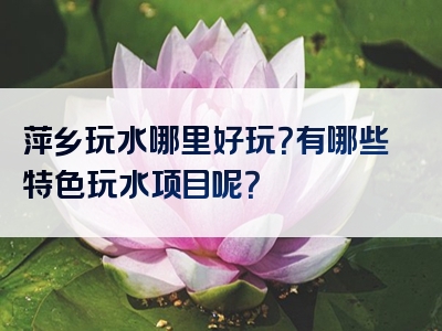 萍乡玩水哪里好玩？有哪些特色玩水项目呢？