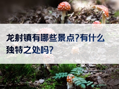 龙射镇有哪些景点？有什么独特之处吗？