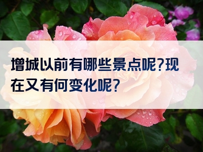 增城以前有哪些景点呢？现在又有何变化呢？