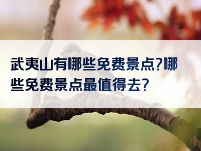 武夷山有哪些免费景点？哪些免费景点最值得去？