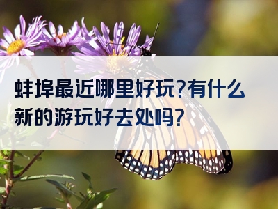 蚌埠最近哪里好玩？有什么新的游玩好去处吗？