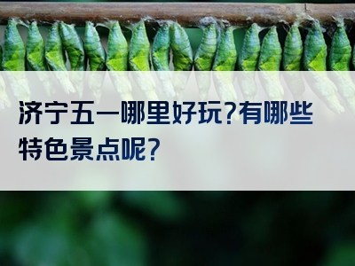 济宁五一哪里好玩？有哪些特色景点呢？