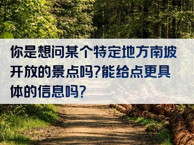 你是想问某个特定地方南坡开放的景点吗？能给点更具体的信息吗？