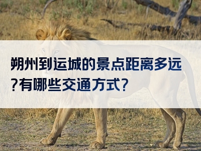 朔州到运城的景点距离多远？有哪些交通方式？