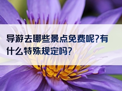 导游去哪些景点免费呢？有什么特殊规定吗？
