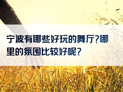 宁波有哪些好玩的舞厅？哪里的氛围比较好呢？