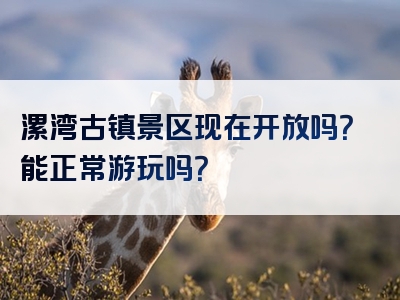漯湾古镇景区现在开放吗？能正常游玩吗？