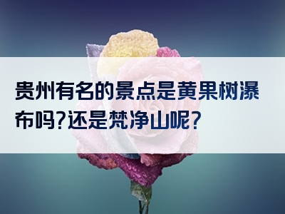 贵州有名的景点是黄果树瀑布吗？还是梵净山呢？