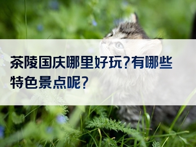 茶陵国庆哪里好玩？有哪些特色景点呢？