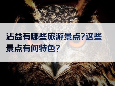 沾益有哪些旅游景点？这些景点有何特色？