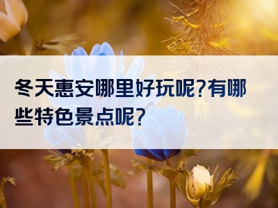 冬天惠安哪里好玩呢？有哪些特色景点呢？