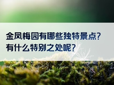 金凤梅园有哪些独特景点？有什么特别之处呢？