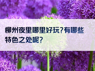 柳州夜里哪里好玩？有哪些特色之处呢？