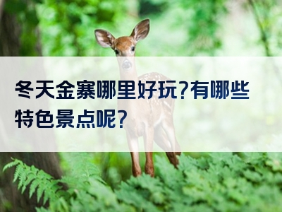 冬天金寨哪里好玩？有哪些特色景点呢？