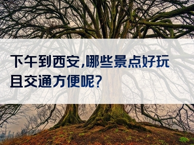 下午到西安，哪些景点好玩且交通方便呢？