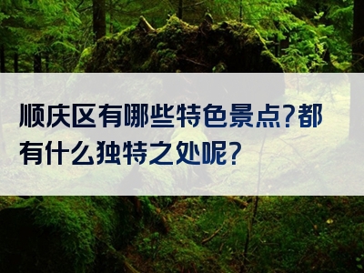 顺庆区有哪些特色景点？都有什么独特之处呢？