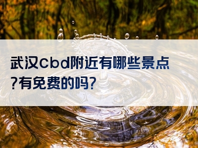 武汉cbd附近有哪些景点？有免费的吗？