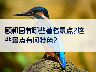 颐和园有哪些著名景点？这些景点有何特色？