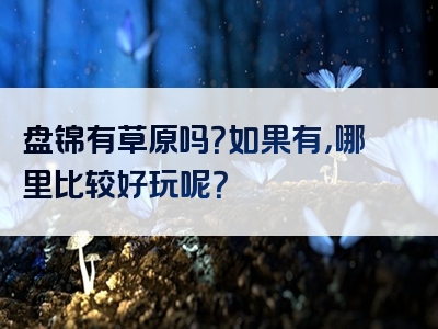 盘锦有草原吗？如果有，哪里比较好玩呢？