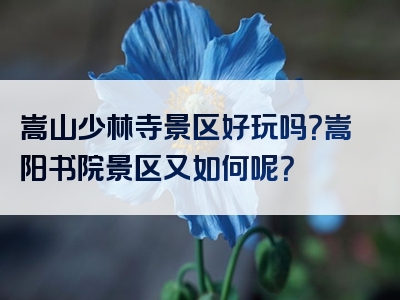 嵩山少林寺景区好玩吗？嵩阳书院景区又如何呢？