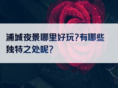 浦城夜景哪里好玩？有哪些独特之处呢？