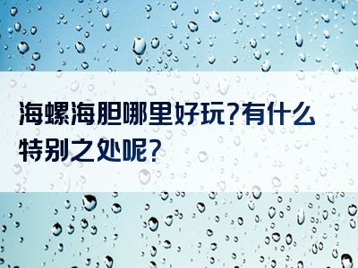 海螺海胆哪里好玩？有什么特别之处呢？