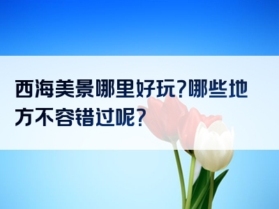 西海美景哪里好玩？哪些地方不容错过呢？