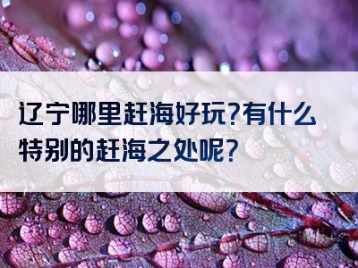 辽宁哪里赶海好玩？有什么特别的赶海之处呢？