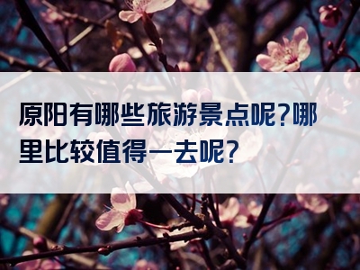 原阳有哪些旅游景点呢？哪里比较值得一去呢？