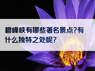 碧峰峡有哪些著名景点？有什么独特之处呢？