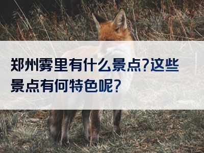郑州雾里有什么景点？这些景点有何特色呢？