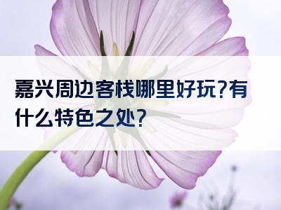 嘉兴周边客栈哪里好玩？有什么特色之处？