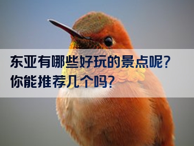 东亚有哪些好玩的景点呢？你能推荐几个吗？