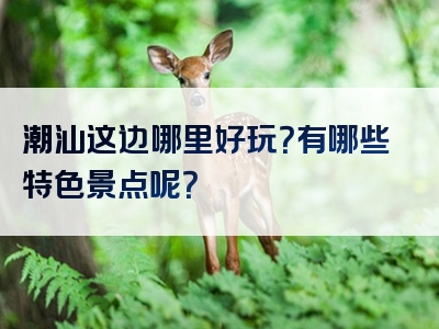 潮汕这边哪里好玩？有哪些特色景点呢？