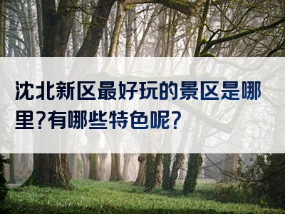 沈北新区最好玩的景区是哪里？有哪些特色呢？