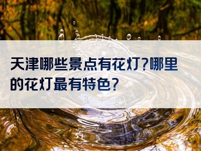 天津哪些景点有花灯？哪里的花灯最有特色？